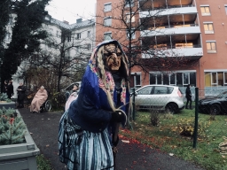 Haus der Senioren Linz