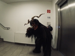 Haus der Senioren Linz