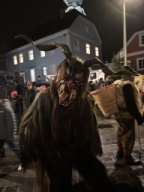 Adventmarkt Leonding
